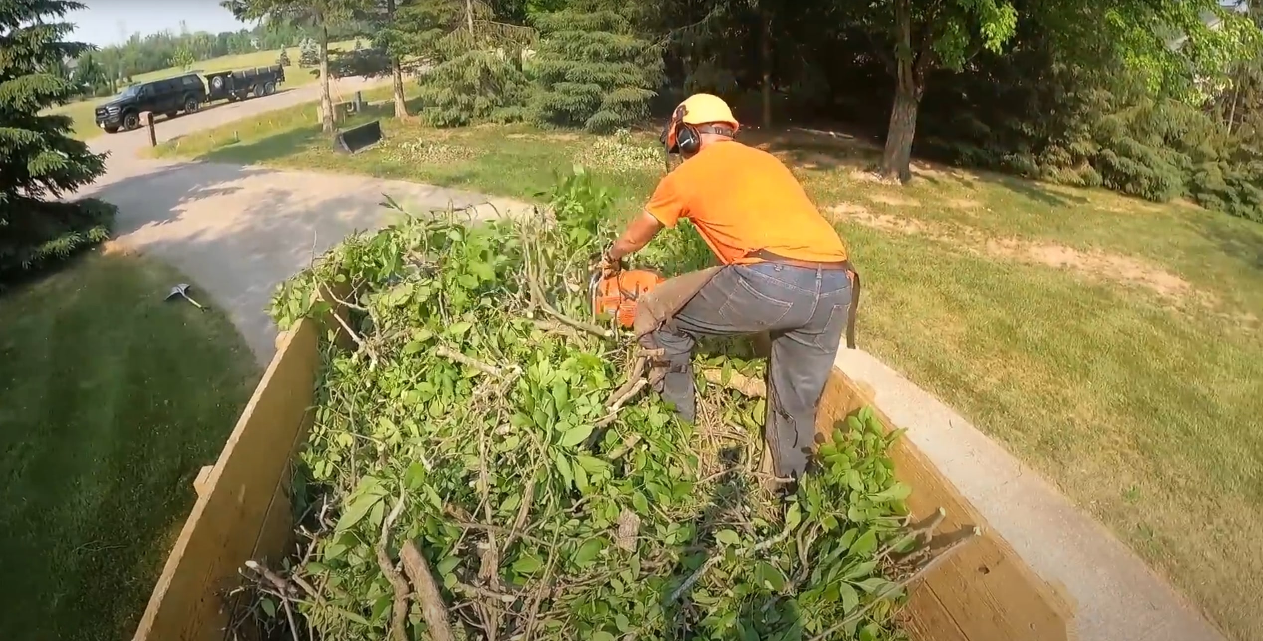 Shrub & Hedge Trimming service in Florence-Graham, CA
